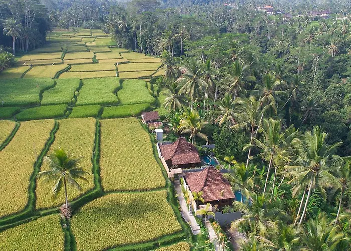 Mandana Ubud (Bali)